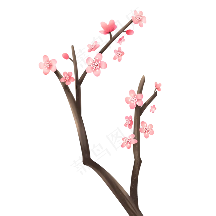 树枝上的梅花(2000X2000(DPI:300))psd模版下载