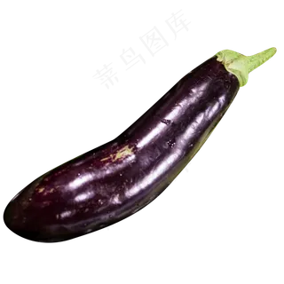 紫色茄子