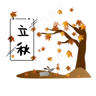 黄色枫叶立秋