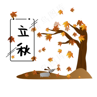 黄色枫叶立秋