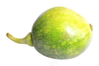 西葫芦绿色蔬菜