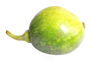 西葫芦绿色蔬菜