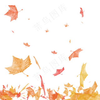 黄色枫叶落叶中秋