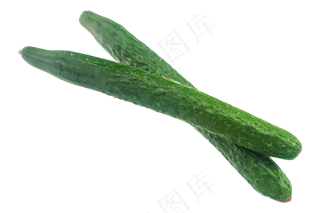 新鲜绿色黄瓜