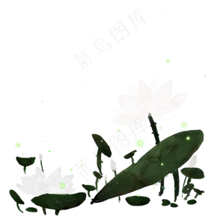 水墨水彩荷花植物手绘