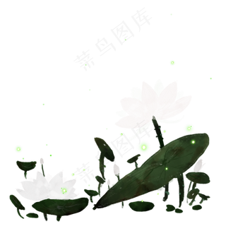 水墨水彩荷花植物手绘