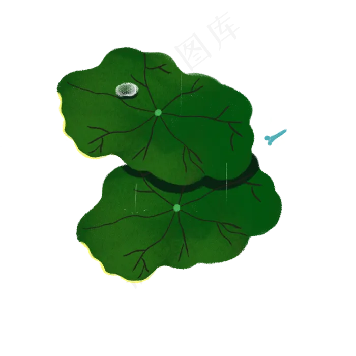 绿色荷叶(1000X1000(DPI:300))psd模版下载