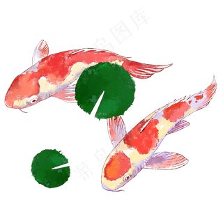 锦鲤水墨画,免抠元素
