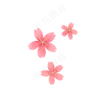 五瓣樱花,免抠元素