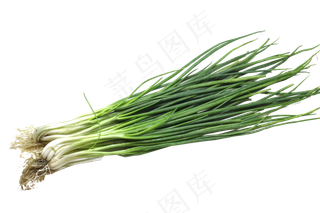 一把香葱免扣,免抠元素