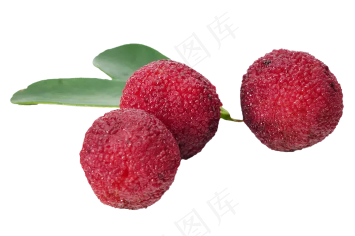 红色杨梅水果(2000X2000(DPI:300))