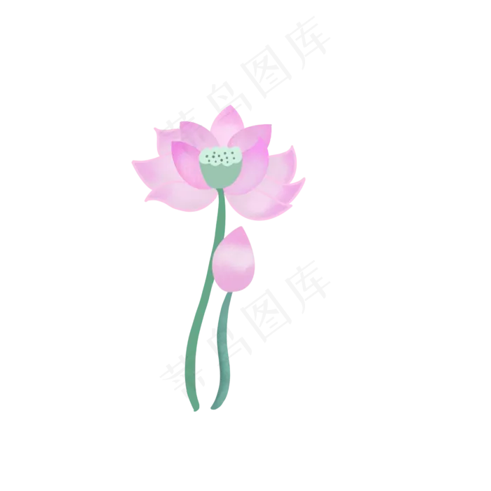 夏天手绘粉色荷花花苞扁平风(2500X2500(DPI:300))psd模版下载