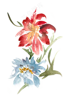 一束盛开的花水彩画PNG免抠素材