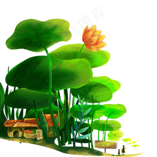 唯美荷花荷叶 唯美荷花荷叶