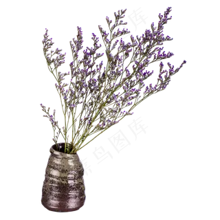 天然植物薰衣草室内装饰png,免抠元素
