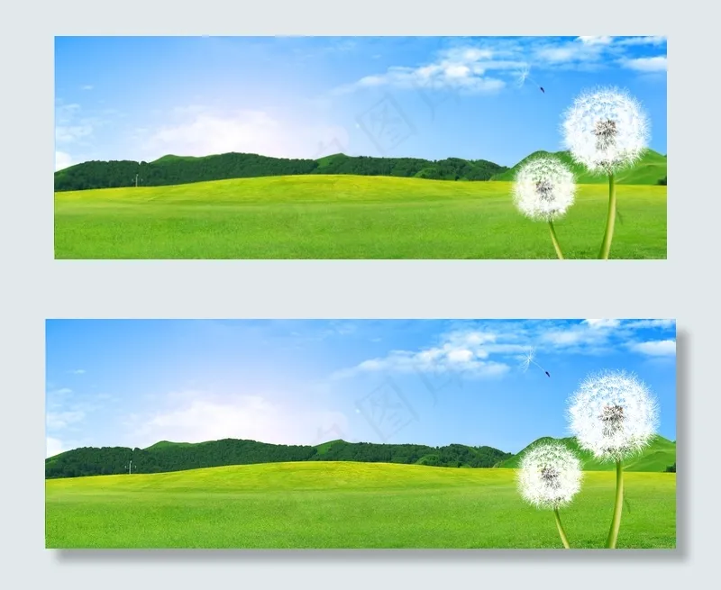 清新蒲公英草坪banner(1920*700px 	       )psd模版下载