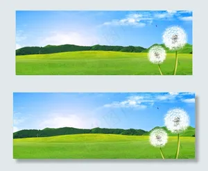 清新蒲公英草坪banner