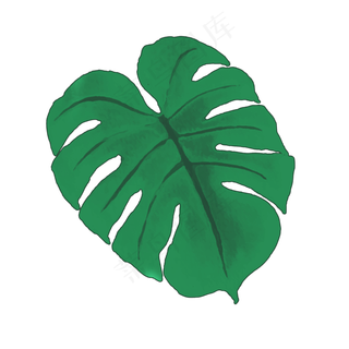 绿色手绘通用芭蕉叶子