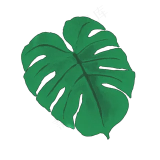 绿色手绘通用芭蕉叶子
