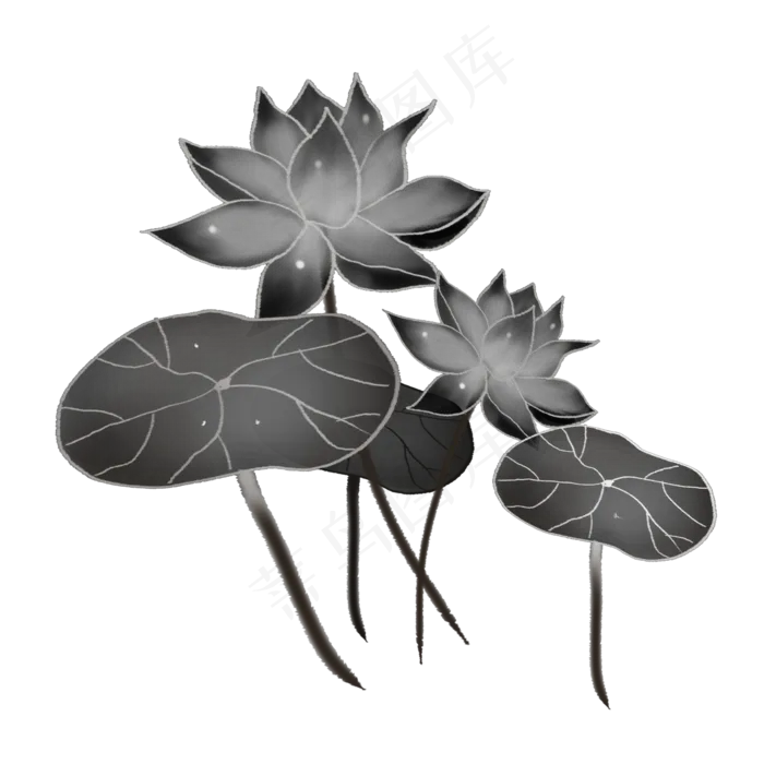 荷花荷叶png素材(2000X2000(DPI:300))psd模版下载