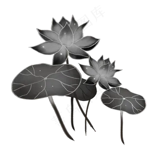 荷花荷叶png素材