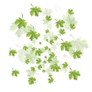 手绘植物树叶漂浮的叶子