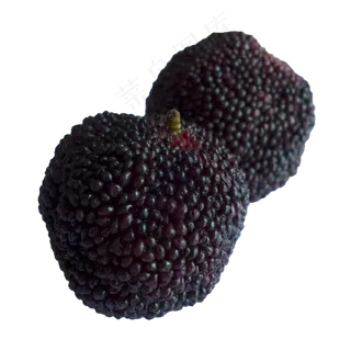 夏季新鲜水果杨梅