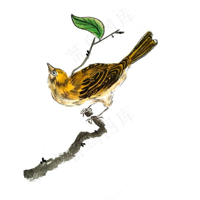 花鸟国画黄雀花枝水墨工笔PNG,免抠元素