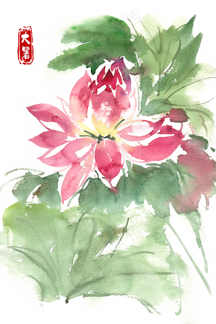大暑娇艳的荷花(4000X6001(DPI:300))psd模版下载