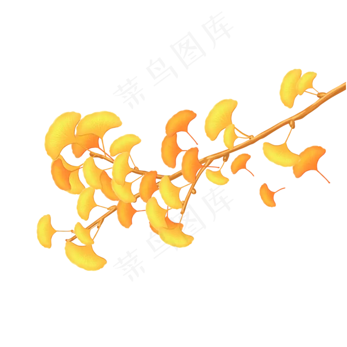 两色银杏树叶(2048X2048)