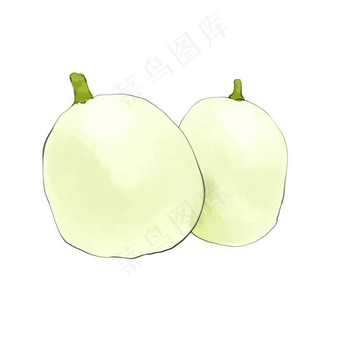 好吃美味水果香瓜(1750X1750(DPI:350))psd模版下载