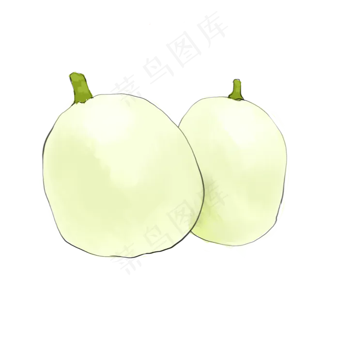 好吃美味水果香瓜(1750X1750(DPI:350))psd模版下载