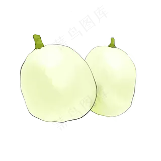 好吃美味水果香瓜