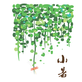 小暑蜻蜓在荷叶上玩耍