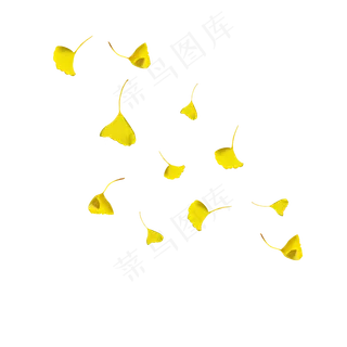 银杏叶秋天银杏叶落叶,免抠元素