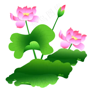 中国风3朵粉色手绘荷花