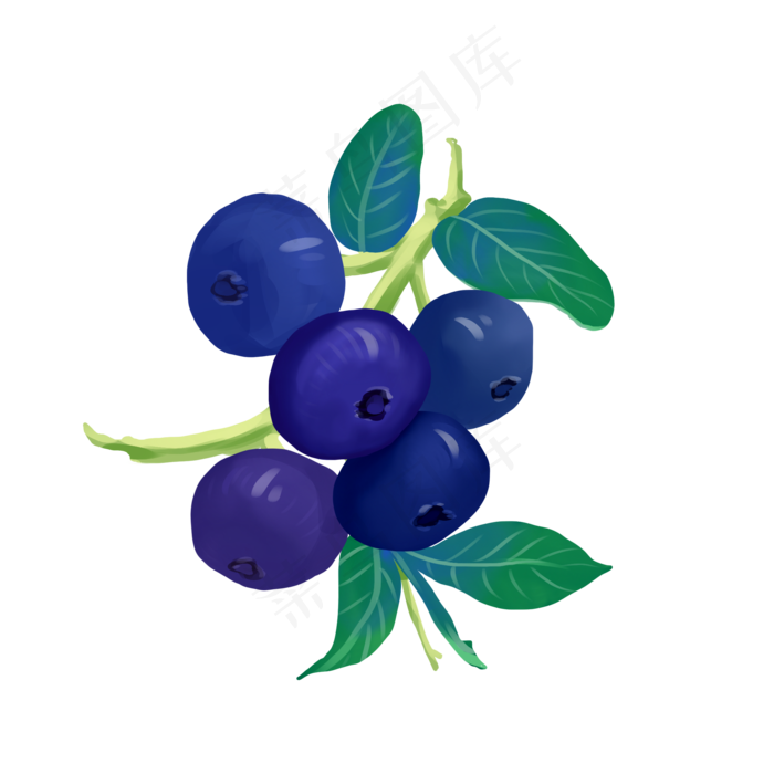 夏季水果蓝莓(2000X2000(DPI:300))psd模版下载