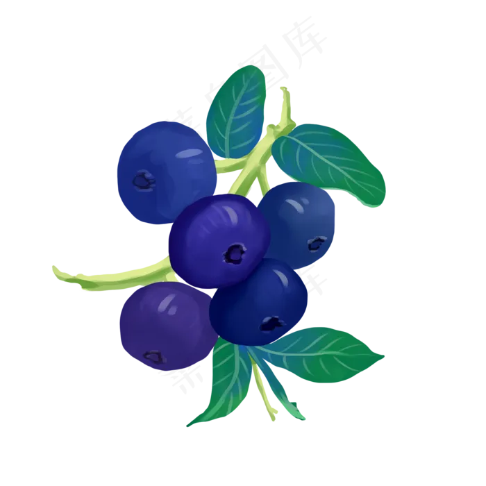 夏季水果蓝莓(2000X2000(DPI:300))psd模版下载
