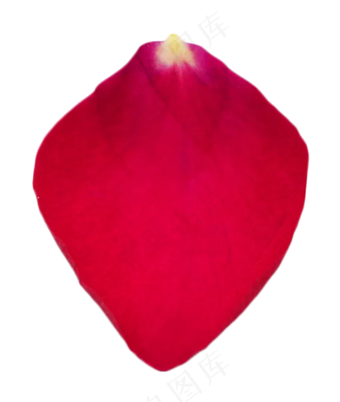 一片花瓣(1000X1000(DPI:300))psd模版下载