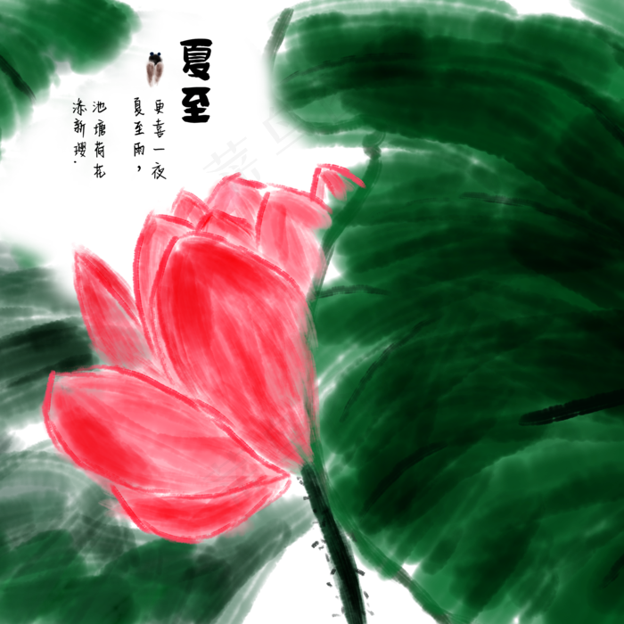 夏至荷花荷叶红花绿叶中国风国画(2000X2000(DPI:3000))psd模版下载