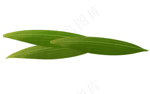 美丽的粽子叶