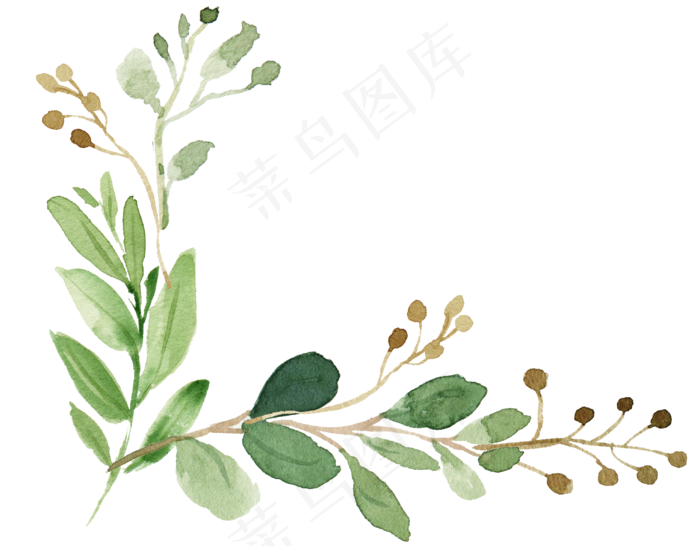 手绘植物,免抠元素