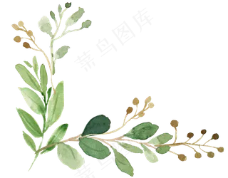 手绘植物,免抠元素