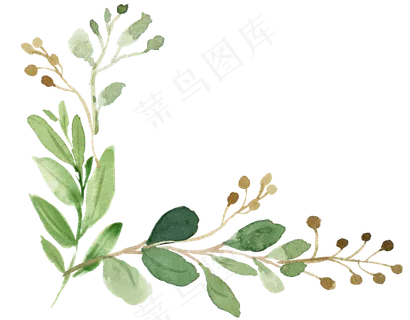 手绘植物,免抠元素 手绘植物,免抠元素