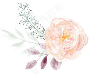 森系小清新水彩花草