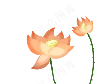 卡通橙色的荷花花枝