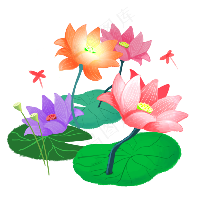 夏季节气荷花荷叶(3000X3000(DPI:300))psd模版下载