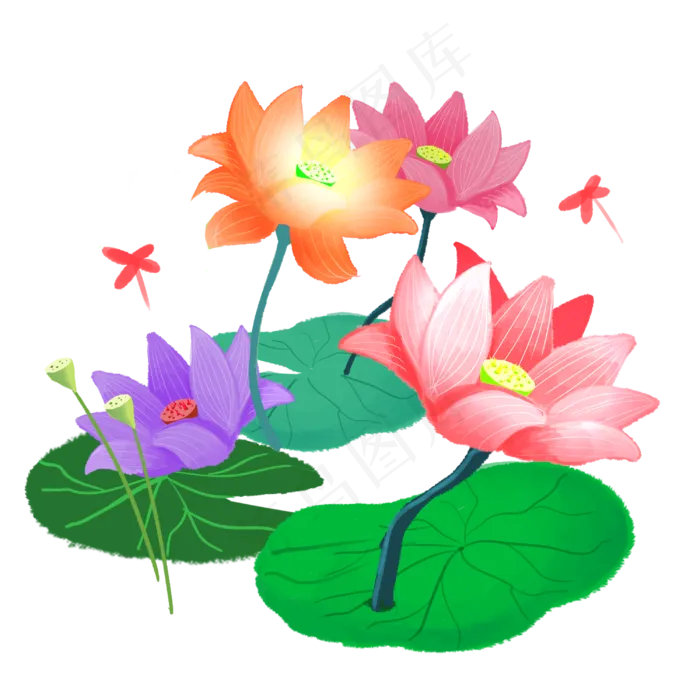 夏季节气荷花荷叶(3000X3000(DPI:300))psd模版下载