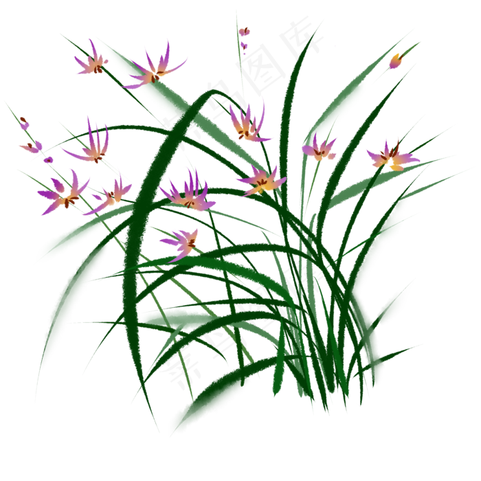 兰花花草水墨花