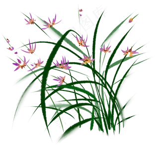 兰花花草水墨花